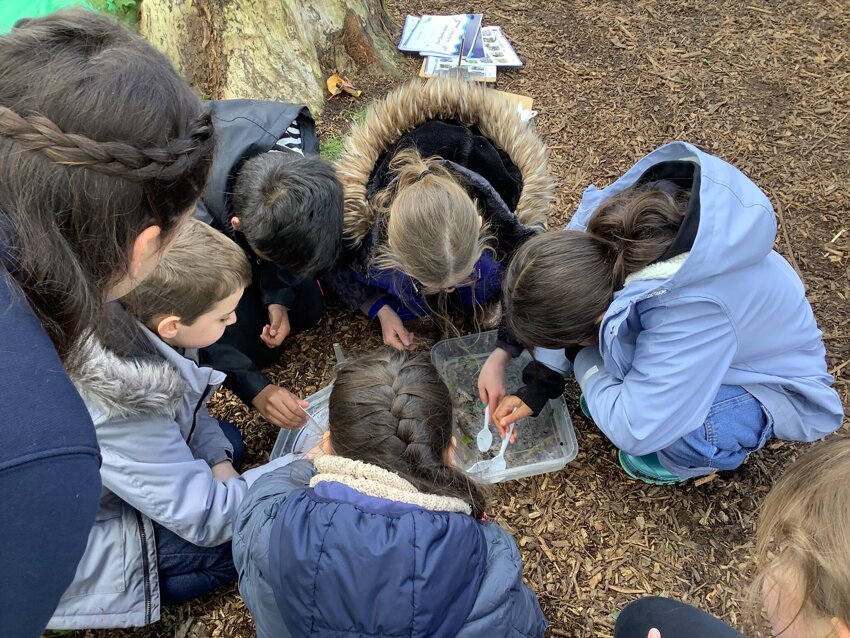 Image of Year 5 River Dour Trip